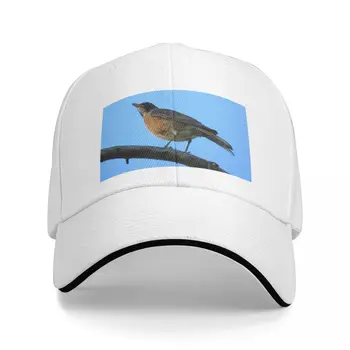 Бейсболка American Robin-1 New In The Hat Новая в шляпе Женские шляпы Мужские